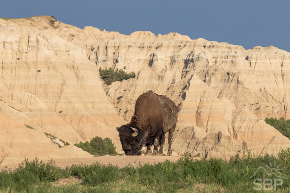 Badlands National Park