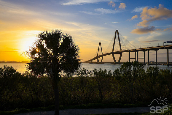 Arthur Ravenel Jr. Bridge