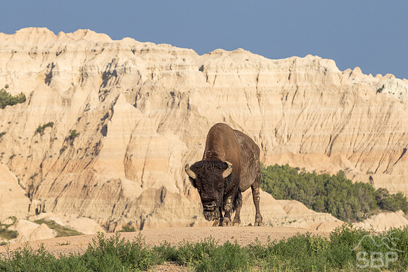 Badlands National Park