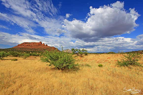 Sedona, Arizona 8