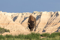 Badlands National Park