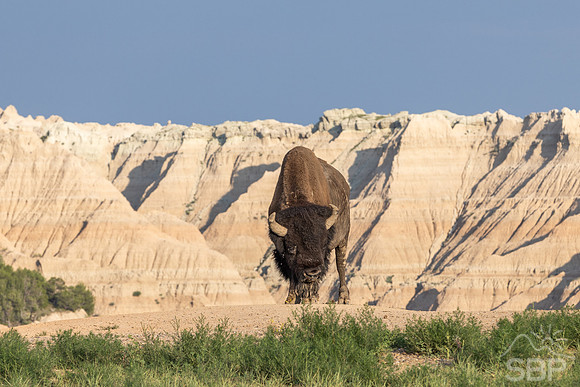Badlands National Park