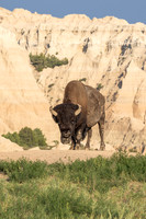 Badlands National Park