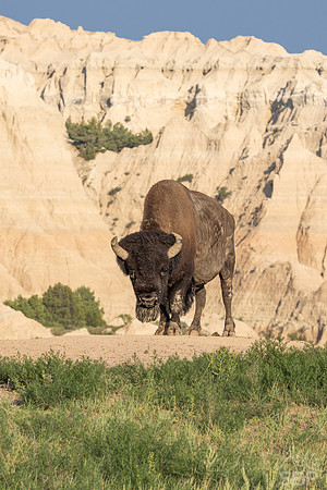 Badlands National Park