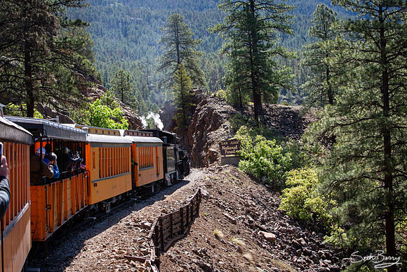 Durango to Silverton Narrow Gauge Railroad