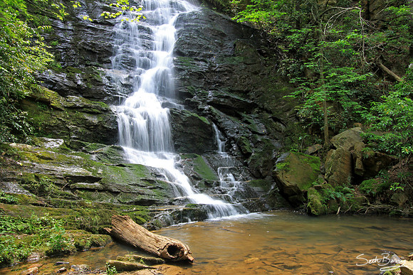 Reedy Branch Falls