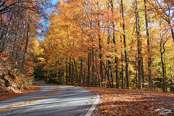 Autumn Mountain Drive