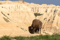 Badlands National Park