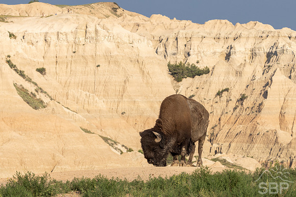 Badlands National Park