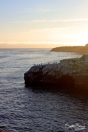Natural Bridge, Santa Cruz, CA