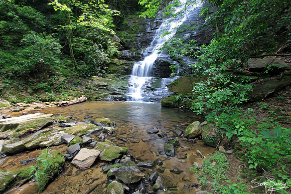 Reedy Branch Falls