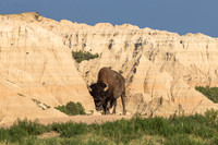 Badlands National Park