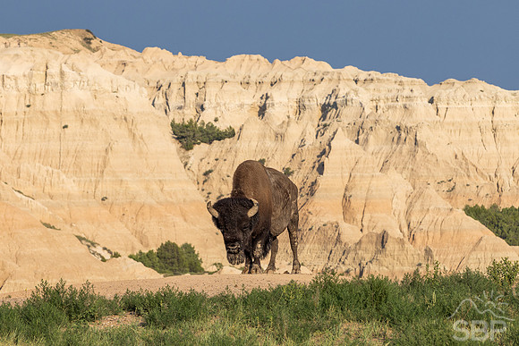 Badlands National Park