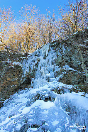 Frozen