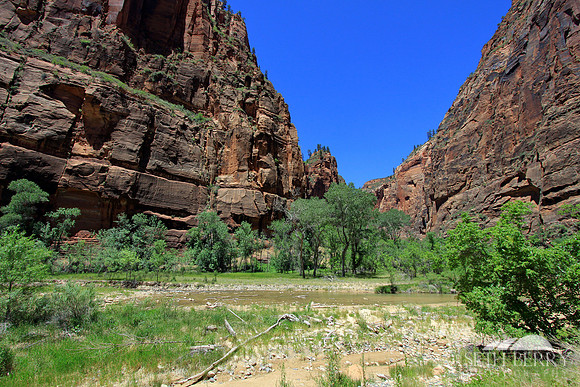Zion's Virgin River