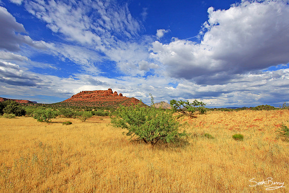Sedona, Arizona 7