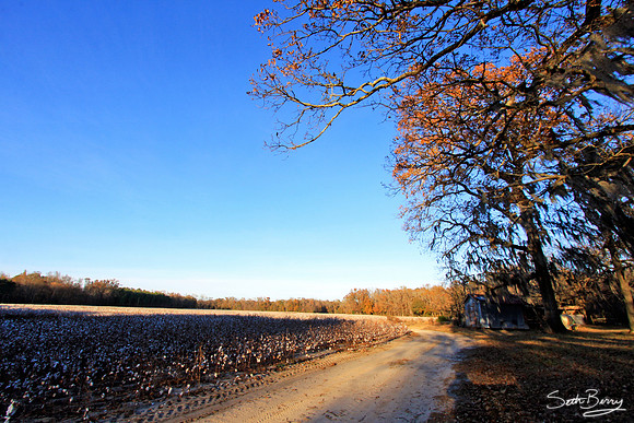 Pappy's Farm