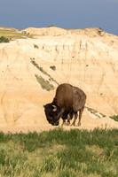 Badlands National Park