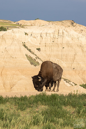 Badlands National Park