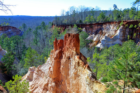 Providence Canyon, Georgia 11