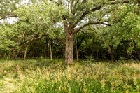 Rock Creek Station State Historic Park