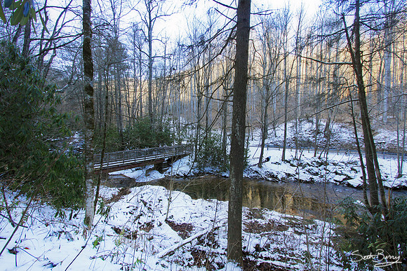 A Winter Walk