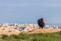 Badlands National Park