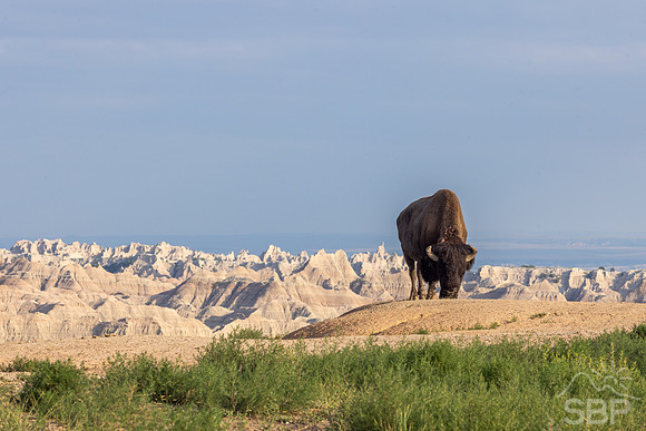 Badlands National Park