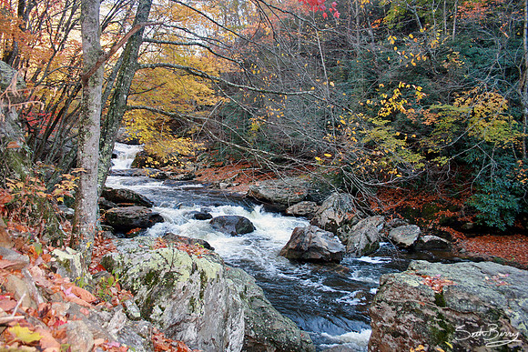 Autumn Cullasaja River