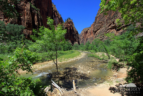 Zion's Virgin River