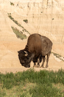 Badlands National Park